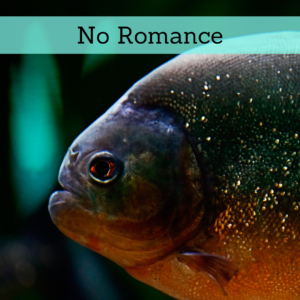 No Romance