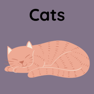 Cats